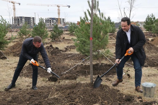 В Ростове-на-Дону началась закладка нового парка на территории бывшего аэропорта «Новый Ростов». Этот парк..