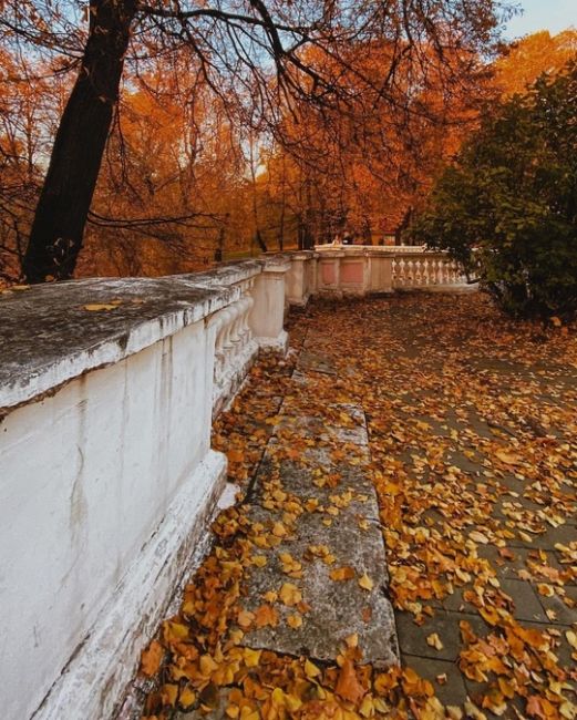 Лефортовский парк – первый регулярный сад на территории современной Москвы.  Фото:..