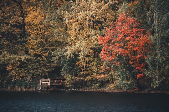 Доброе утро💛  Фото: Марина..