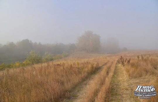 🕸 Утро туманное в Ростовской области..