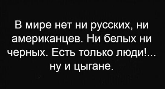 Полиция пришла к областным цыганам за уголовными делами и уклонистами  Петербургский главк показал словно..