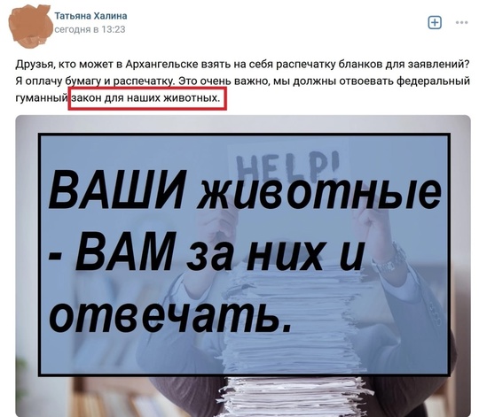 🐕 «Сегодня отравили нашу любимую бездомную собаку на Зорге, 33/6. Попытались спасти её, но собака не выжила 😢..