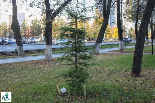 📝🌳🚜 
Мы вновь посетили сквер им. Валерия Иконникова. 
Напомним, летом в нем проходили работы по..