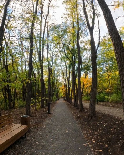 🍁 Золотая осень в парке Мухина балка в Аксае. 
фото: Роман..