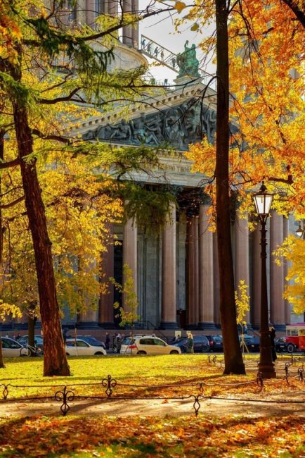 🍁Золотая осень в Петербурге..