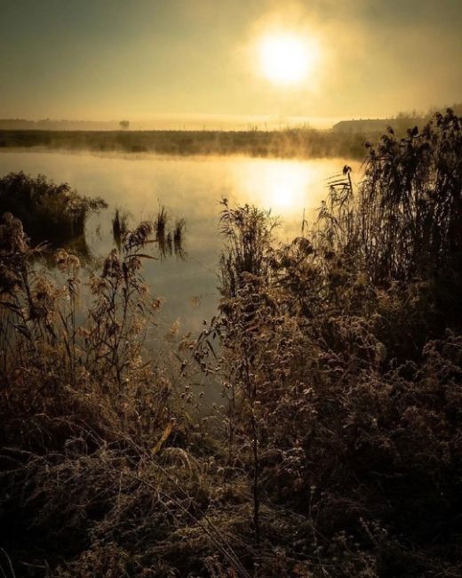 Утро у реки Сосыка 😍  Краснодарскиий край‌, станица Пластуновская, женский‌ Всецарицынскиий монастырь,..