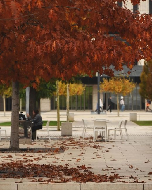 Красивая осень в парке Галицкого 🍁♥  Фото:..