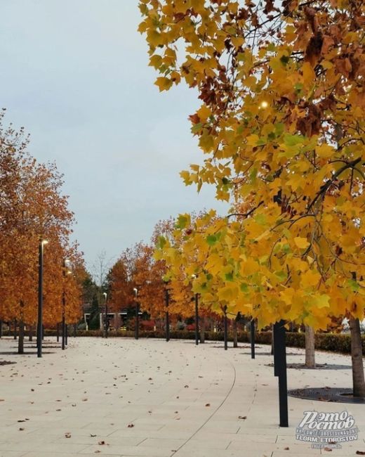 😍🍁Осень в чудесном парке Галицкого в соседнем..