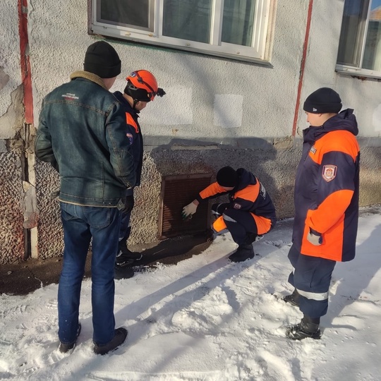 Кошка застряла в подвальной решетке  Хозяин питомца, говорят спасатели, не заметил, как кошка проскочила в..