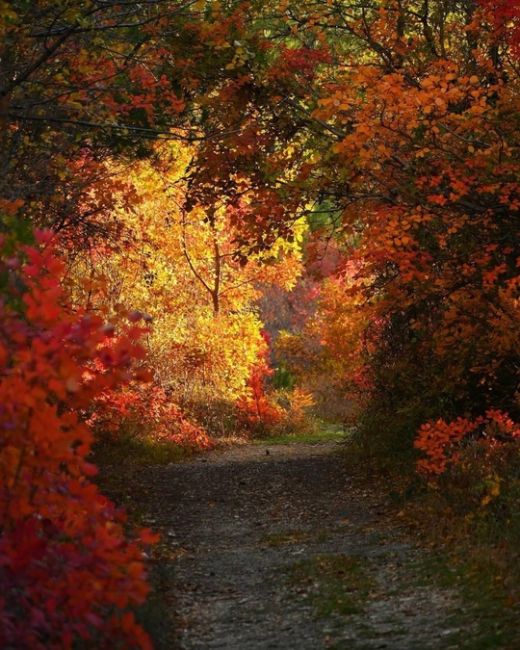 Прогулка по различным тропам между Дивноморским и Прасковеевкой 🍁🍂☀️ 
Прекрасные виды, яркие краски и..