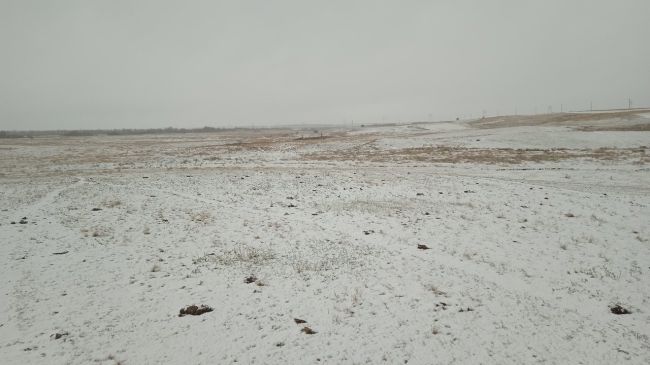 ❄️🌬 Зима пришла на север Ростовской..