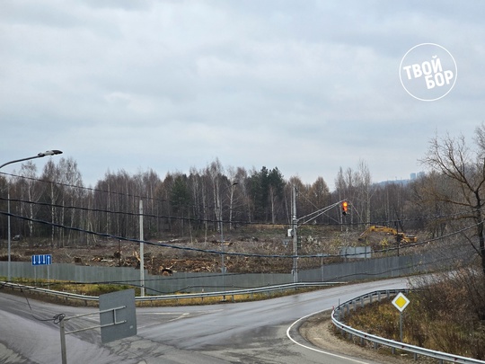 Около озера Бездонное началась вырубка деревьев  "Твой Бор" передает, что на территории, огороженной забором,..