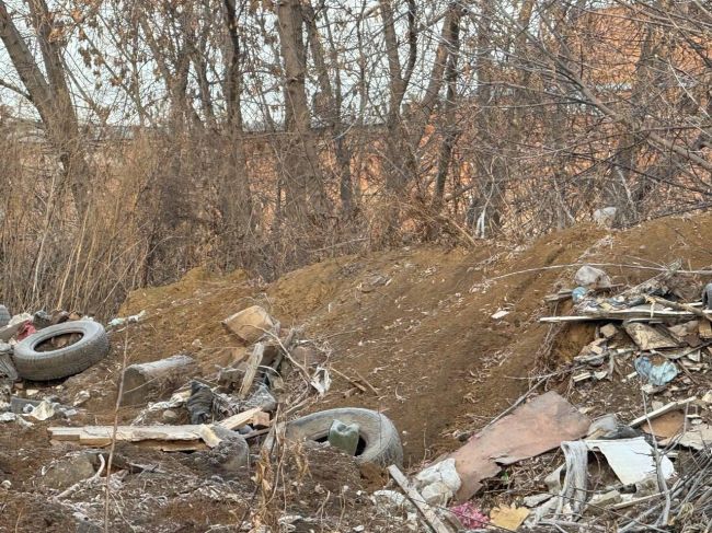 Промзону на ул. Палласа очищают от стихийной свалки – здесь поставят бетонные блоки, чтобы предотвратить..