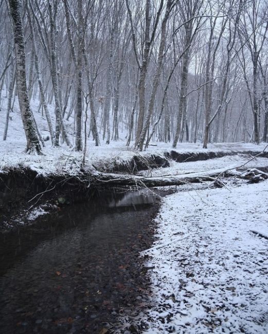 Зима подкралась к Новороссийску ❄  Фото..