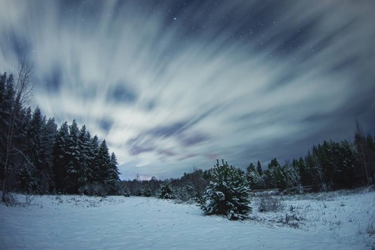 💙 Звездная ночь в нижегородских краях  Фото: Ян..