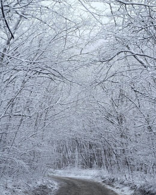 Зима подкралась к Новороссийску ❄  Фото..