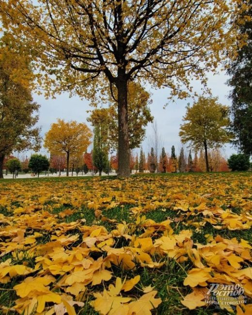 😍🍁Осень в чудесном парке Галицкого в соседнем..