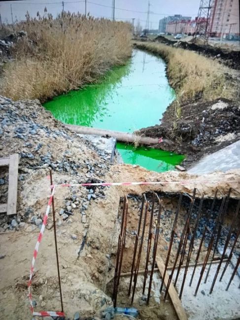 В Батайске в водоотводном канале местные нашли ярко-зелёную воду. Такую красочную зелёнку обнаружили за..