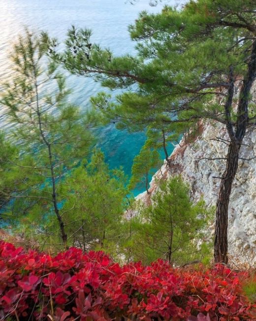 Красочная осень в Голубой бездне🍁  Фото..