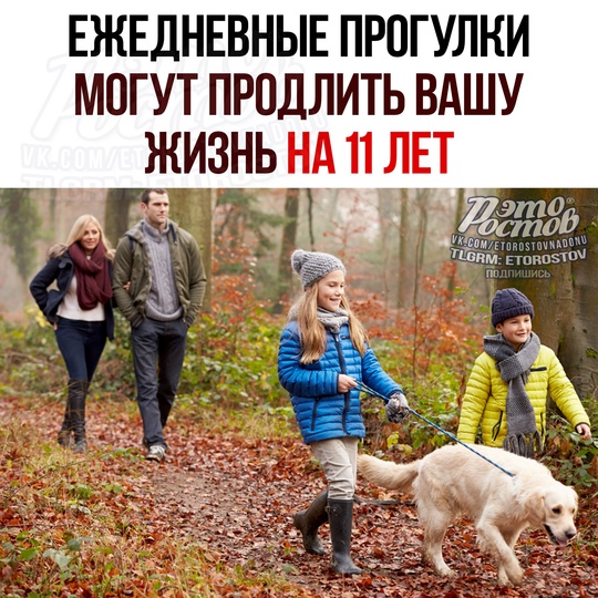 🚶‍♂Час прогулки продлевает жизнь НА ТРИ ГОДА, заявили учёные. ученые. Правда, есть нюанс: надо гулять..