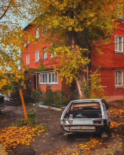 🍁Золотая осень в Александровском.  Фото: Алексей..