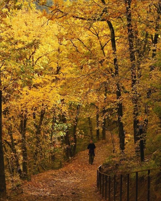 Прогулка по эко-тропе в Абрау-Дюрсо 🍂🍁😍  Фото..