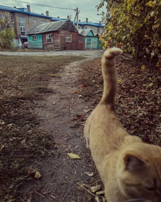 Если вы подписаны на нас, чтобы переехать в Краснодар, то можем сказать, что на Кубани есть ещё много уютных..