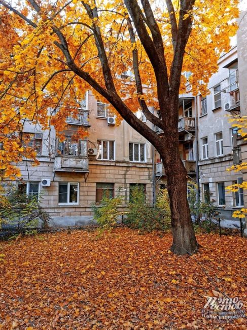 Золотая осень в Таганроге 🍂 ☕  Фото: Вадим..