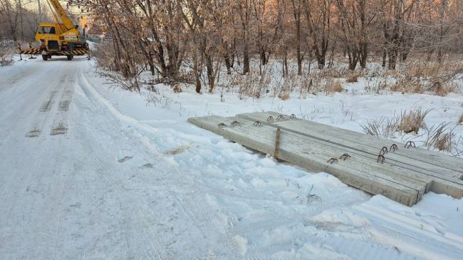 В Бургинском лесу Новосибирска введен пропускной режим для борьбы с закладчиками и маргиналами.  Активисты..