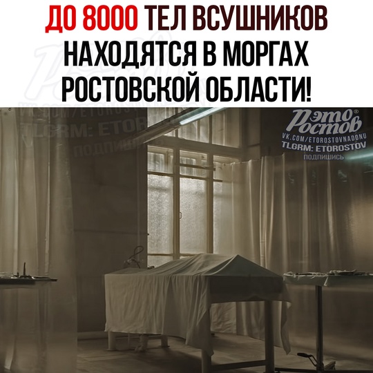 💀 До 8000 ТЕЛ ВСУшников, наступавших на Курскую область, находятся в мοpгax Ροcтοвcκοй οблacти и других..