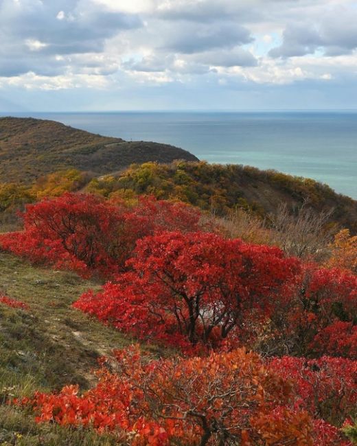 Прогулка по осеннему побережью от Супсеха в сторону Сукко🍁🍂🔥  Фото..