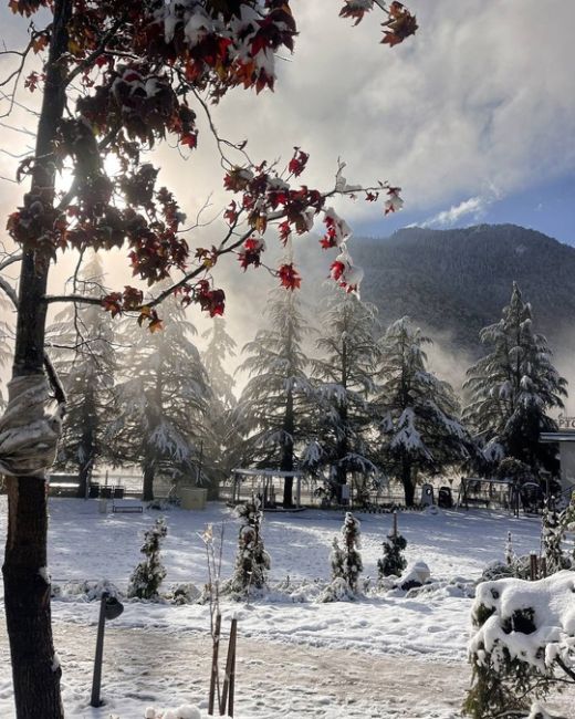 Внезапная зима в Красной Поляне 5 ноября ☃️🏔️  Фото..