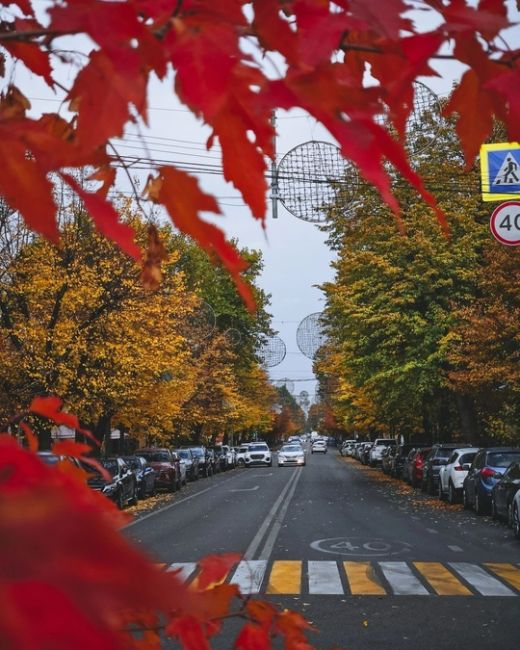 Осень в центре Краснодара 🍁🍂  Фото..