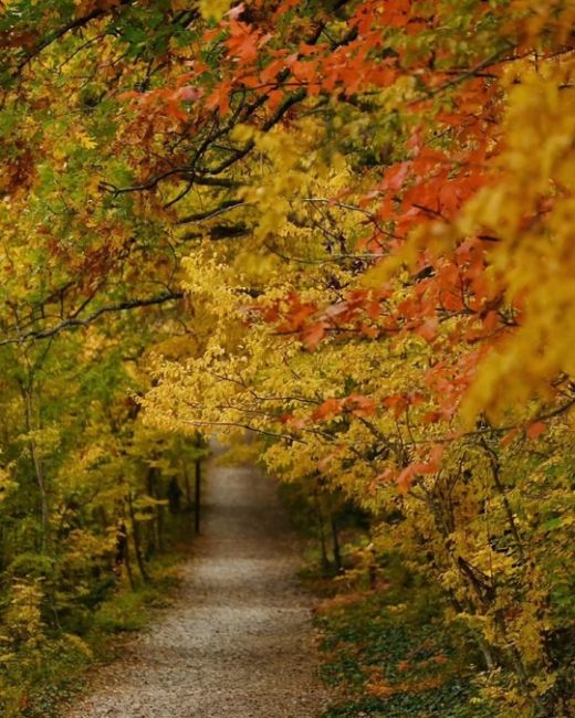 «Прогулка по эко-тропе в Абрау-Дюрсо🍂🍁» 
Все фото..