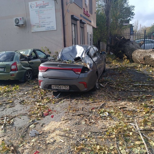 В Аксае огромное дерево упало на пять автомобилей на улице Дружбы, на парковке детского образовательного..