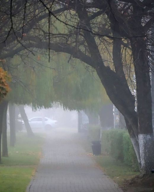 🌫️ Кто рано встает, тот… увидит туман. Вот такое воскресное утро в Краснодаре 
📸..