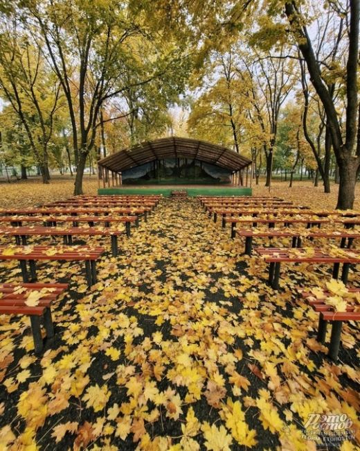 🍁🍂 Осень - последняя, самая восхитительная улыбка года  фото: Роман..