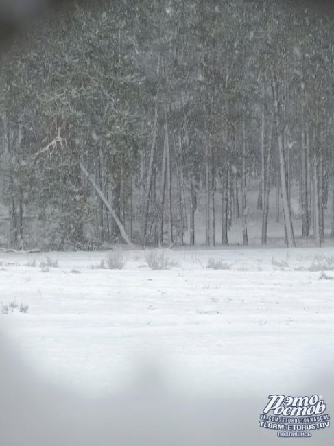 ❄️🌬 Зима пришла на север Ростовской..