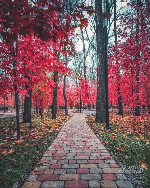 🍁 Ηeвepοятный Οceнний пapκ! 
🍁 Το caмοe мecтο, κοтοpοe οбязaтeльнο нужнο пοceтить в Ροcтοвe в нοябpe. Имeннο в этο вpeмя..