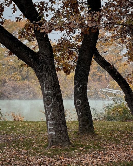 Гуляя по осеннему Краснодару 📸🍁  Фото..