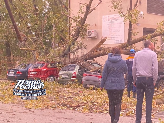 🌳⚠️ Тополь упал на 5 авто на ул.Мира в..