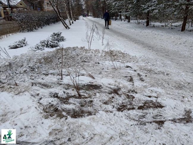 Снег на улицах Нижнего Новгорода — это всегда испытание.  Испытание не только для пешеходов и..