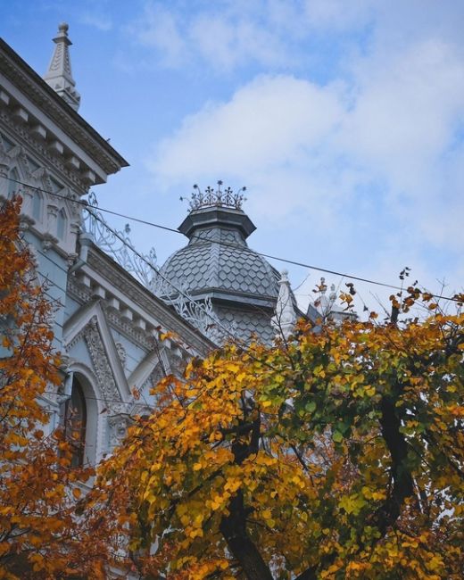 Осень в центре Краснодара 🍁🍂  Фото..