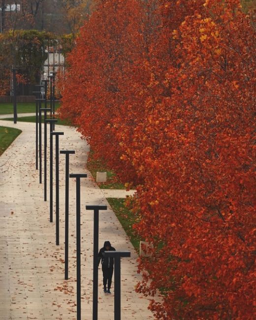 Красивая осень в парке Галицкого 🍁♥  Фото:..