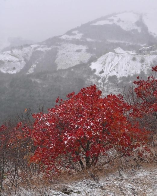 Осенне-зимние склоны Маркотха, когда зима пришла чуть раньше ❄🍁  Фото:..