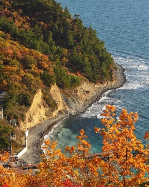 Прогулка по различным тропам между Дивноморским и Прасковеевкой 🍁🍂☀️ 
Прекрасные виды, яркие краски и..