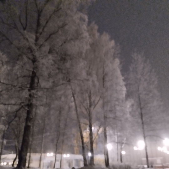 Снежная сказка на границе Приозерского и Всеволожского района..