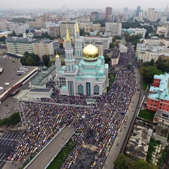 Инициативная группа жителей ТиНАО просит придать огласке ситуацию, сложившуюся в связи с планируемым..