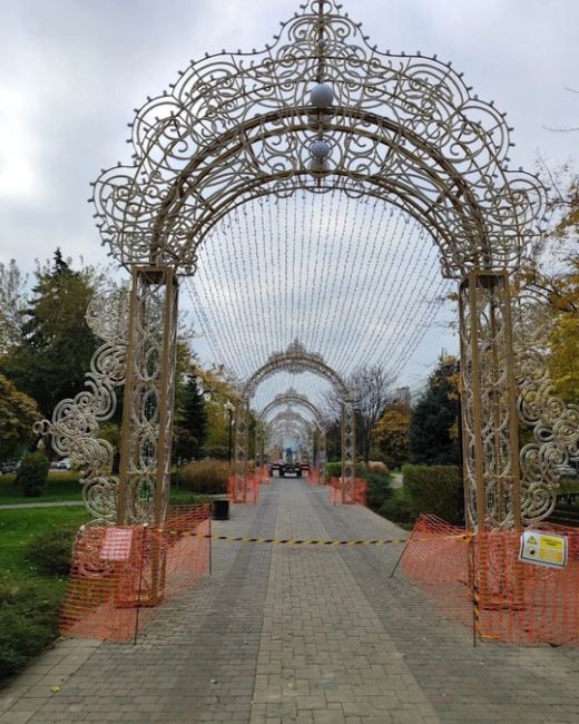 В гостях на Красной 🎄 Ну что сказать: Парк Галицкого поглощает город - и это хорошая новость 😇😂  Конечно же..