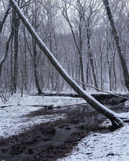 Зима подкралась к Новороссийску ❄  Фото..